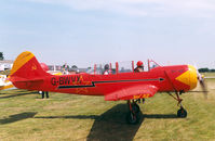 G-BWVX @ EHSE - Seppe Air Show 1999 - by Henk Geerlings