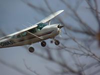 C-GWAS @ EHR - Shot through woods of western Henderson Co., KY - by Charles Crawford
