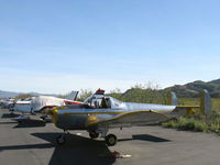 N99711 @ SZP - 1946 ERCO Ercoupe 415-D, Continental O-200 100 Hp upgrade, pre-flight, Herm & Sam - by Doug Robertson