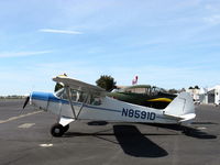 N8591D @ SZP - 1958 PIPER PA-18A SUPER CUB, Lycoming O-320 150 Hp. The -18A built as single place cropduster with hopper, this one is now two place with extended wings/ailerons. Mult. Cert. - by Doug Robertson