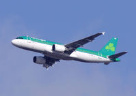 EI-DEG @ EGCC - Aer Lingus - by Shaun Connor
