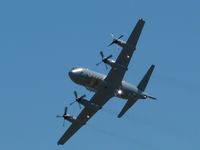 A9-665 @ YMAV - Orion display at Avalon Air Show 2011. Note ordnance bay doors open and outer port engine feathered. - by red750
