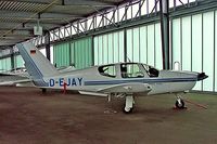 D-EJAY @ EDLW - Socata TB-20 Trinidad [1611] Dortmund~D 26/05/2006. - by Ray Barber