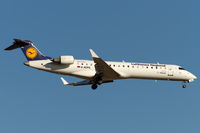 D-ACPG @ EDDF - on final - by Friedrich Becker
