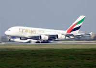 A6-EDG photo, click to enlarge