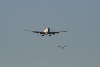 HA-LOG @ EBBR - On approach to RWY 02
