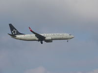 TC-JFH @ EBBR - Member of 'staralliance group' - by ghans