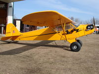 N40924 - rorys cub - by rory grangruth