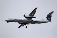 N441QX photo, click to enlarge