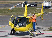 OO-HCP @ EBSP - Feeding the yellow bird.