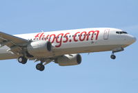 TC-CCP @ EBBR - Arrival of flight PC801 to RWY 02