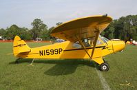 N1599P @ KLAL - Piper PA-18 - by Mark Pasqualino