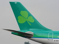 EI-EDY photo, click to enlarge EI-EDY photo, click to enlarge