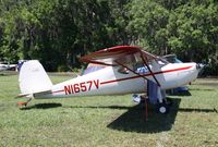 N1657V @ KLAL - Cessna 140