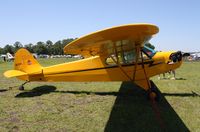 N77PC @ KLAL - Piper J3C-65