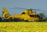 OO-NHJ @ EGSH - A yellow helicopter amongst yellow daf's. - by Graham Reeve