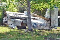 N6194U - On the West Side of US-1 about 1 mile south of St.Augustine Airport FL - there is a grassed compound holding 9 x Ec Navy , Grumman Trackers