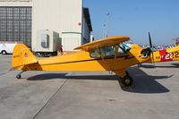 N77PC @ NIP - Piper J3C
