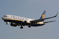 EI-EKD @ EGGP - Ryanair - by Chris Hall