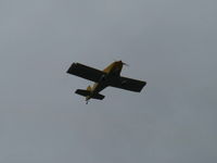 N406L photo, click to enlarge