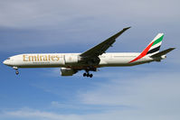 A6-ECQ photo, click to enlarge A6-ECQ photo, click to enlarge