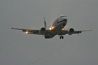 N799AS photo, click to enlarge