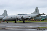 NZ4204 @ NZWP - 5 Squadron - by Peter Lewis