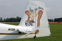 N112B @ LAL - Glamour Tail art on RV-7A at 2011 Sun n Fun - Lakeland Florida - by Terry Fletcher