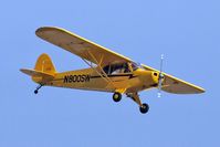 N800SW @ LAL - 2011 Sun n Fun Lakeland , Florida - by Terry Fletcher