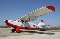 N8300K @ KCMA - Beautiful Stinson enjoying the sun of California (like me !) - by olivier Cortot