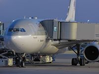 A7-AFM @ LFPG - QATAR at T1 - by Jean Goubet-FRENCHSKY