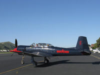 N250RL @ SZP - 1968 Nanchang China CJ-6A, Huosai 6A 9 cylinder radial 285 Hp, 3 blade prop mod - by Doug Robertson