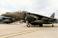 ZD431 @ MHZ - Harrier GR.7 of 1 Squadron at RAF Wittering on display at the 1995 RAF Mildenhall Air Fete. - by Peter Nicholson