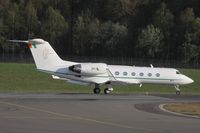 251 @ ELLX - I love the green line on this bird. - by Raybin