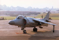 ZH798 @ EGVA - Sea Harrier F/A.2 of RNAS Yeovilton's 800 Squadron on the flight-line at the 1996 Royal Intnl Air Tattoo at RAF Fairford. - by Peter Nicholson