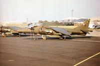 ZH660 @ EGVA - Harrier T.10 of 20[Reserve] Squadron at RAF Wittering on the flight-line at the 1996 Royal Intnl Air Tattoo at RAF Fairford. - by Peter Nicholson
