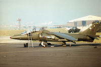 ZH665 @ EGVA - Harrier T.10 of RAF Wittering's 20[Reserve] Squadron on the flight-line at the 1996 Royal Intnl Air Tattoo at RAFFairford. - by Peter Nicholson