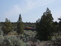 N500KV - Inspecting Crooked River Canyon in Terrebonne Oregon, canyon is 300' deep, but only about 150' wide at the point this photo is taken. - by Pamela Falcioni