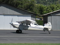 N55MA @ SZP - 2005 Aviat A-1B HUSKY, Lycoming O-360 180 Hp, taxi - by Doug Robertson