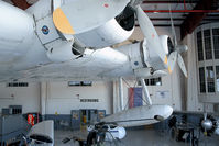 N814ML photo, click to enlarge