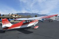 N50380 @ SZP - Bellanca 7ECA Citabria Standard at Santa Paula airport during the Aviation Museum of Santa Paula open Sunday - by Ingo Warnecke