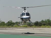N30NT @ CCB - Appears to be checking out photographer with camera - by Helicopterfriend