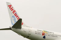 EC-HGO photo, click to enlarge EC-HGO photo, click to enlarge