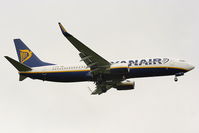 EI-DWP photo, click to enlarge EI-DWP photo, click to enlarge