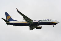 EI-EBF photo, click to enlarge EI-EBF photo, click to enlarge