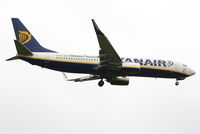 EI-EFO photo, click to enlarge EI-EFO photo, click to enlarge