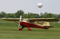 N95095 @ C77 - Taylorcraft BC12-D - by Mark Pasqualino