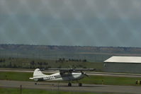 N9739A @ BIL - Cessna 170 @ BIL - by Daniel Ihde