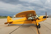 N50694 @ KDKB - Piper J3C-65 - by Mark Pasqualino