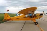 N38551 @ KDKB - Piper J3L-65 - by Mark Pasqualino